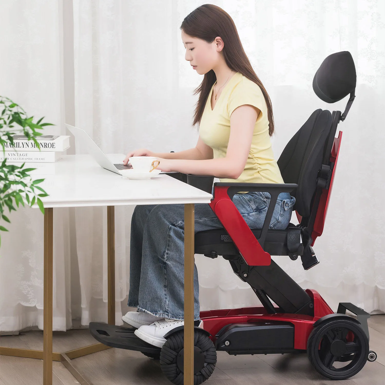 Electric Wheelchairs